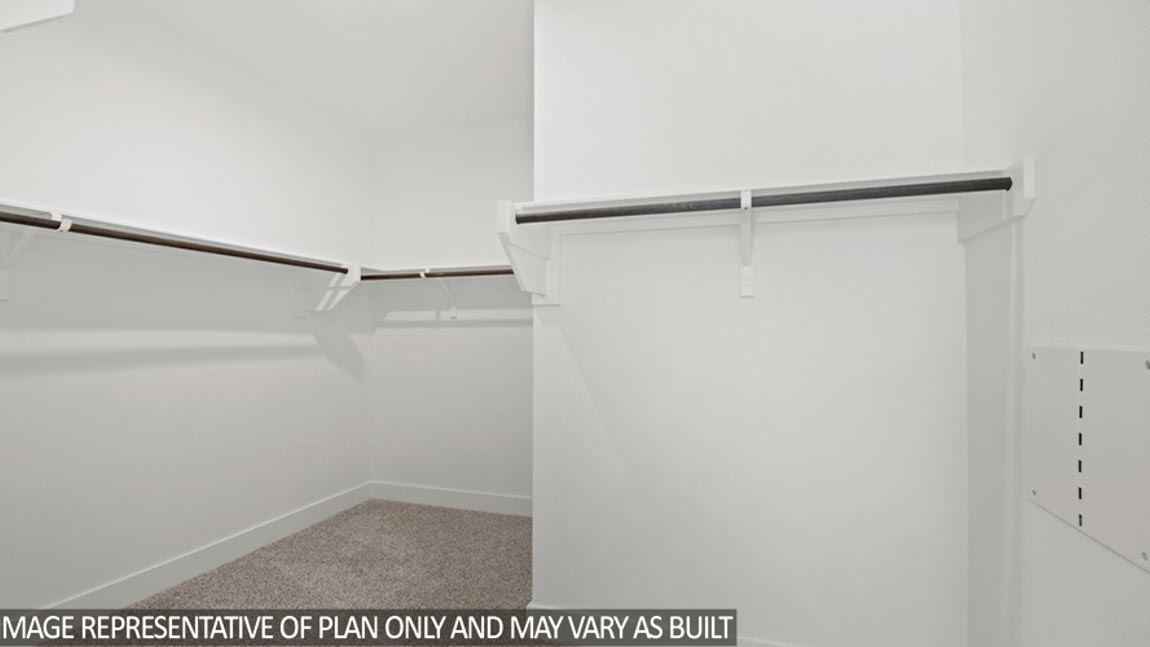 Primary walk-in closet with carpet flooring