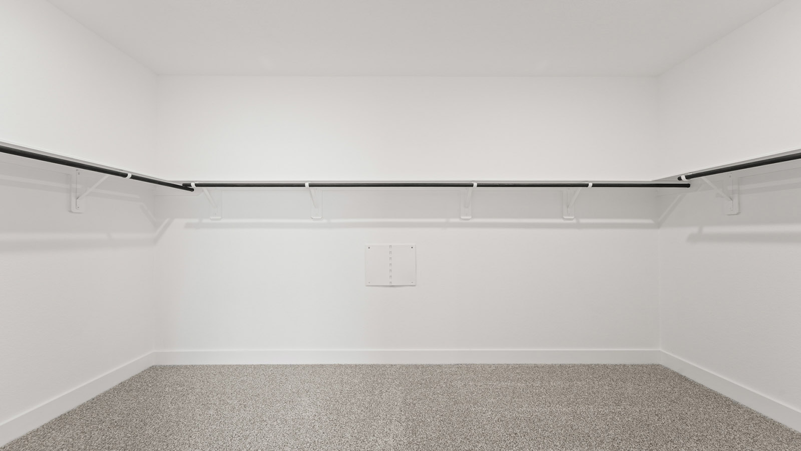 walk in closet with carpet flooring