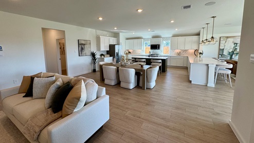 Large Living Room. Open Concept