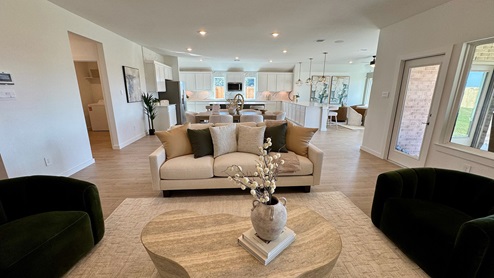 Large Living Room. Open Concept