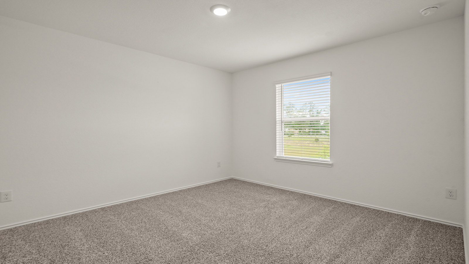 Secondary bedroom with carpet flooring