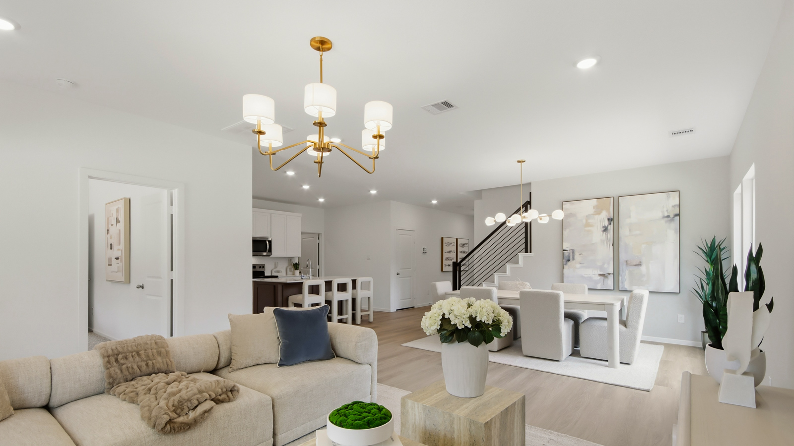 East Williams Cove Model