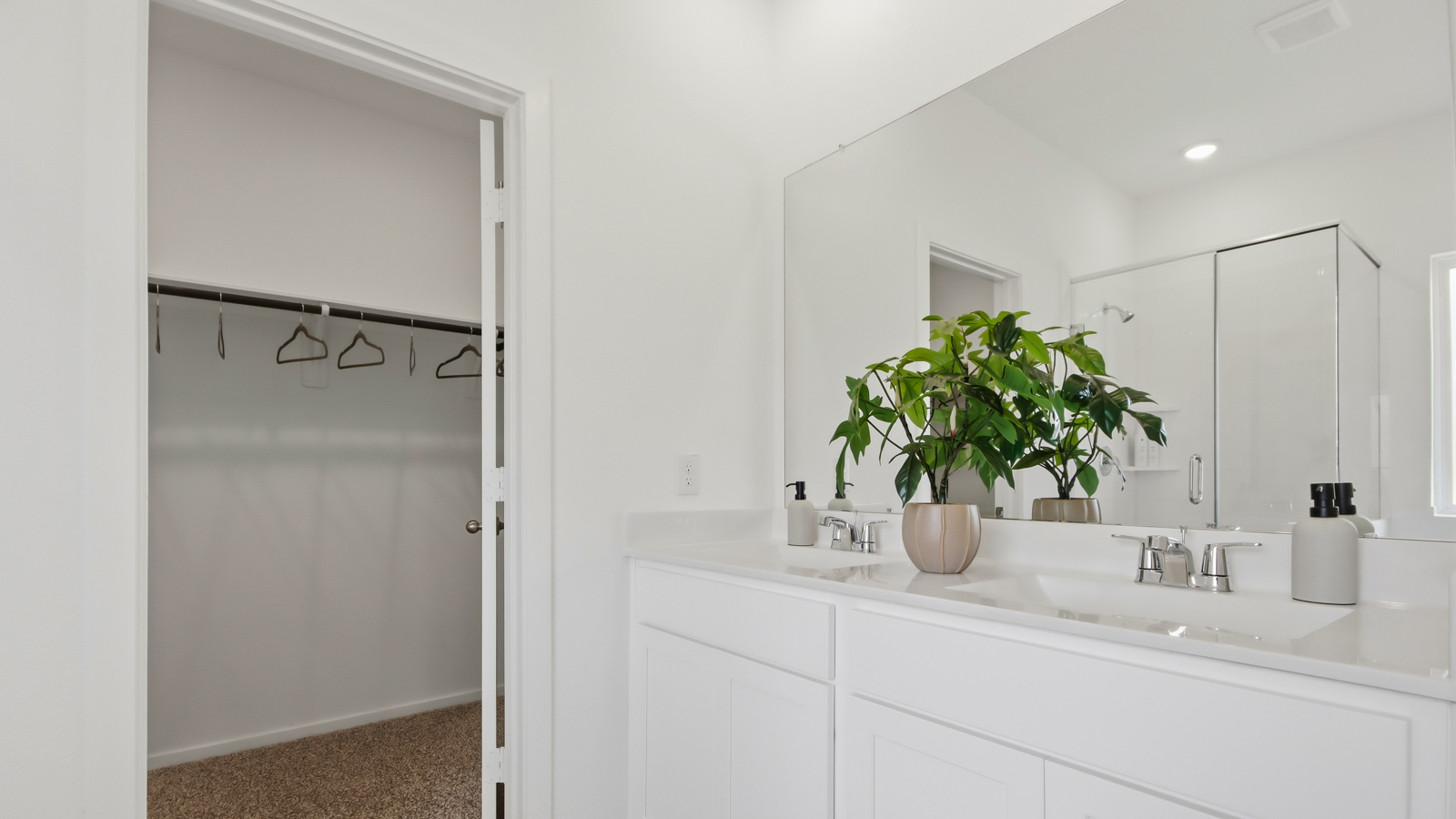 East Williams Cove Model