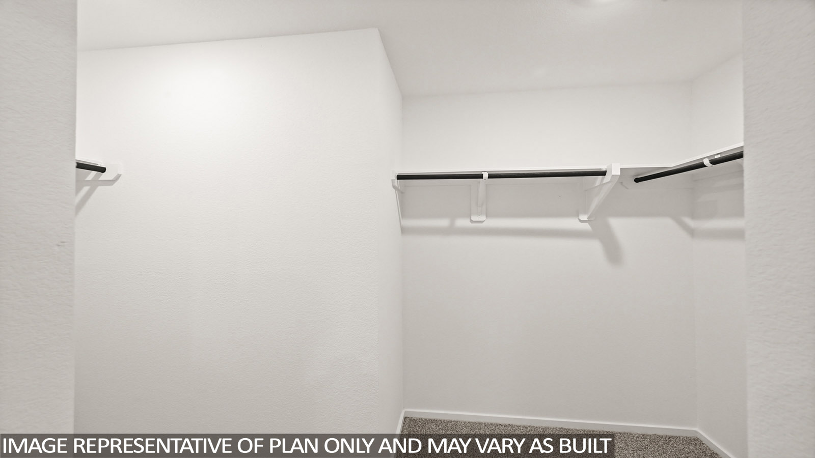 Primary walk-in closet with carpet flooring