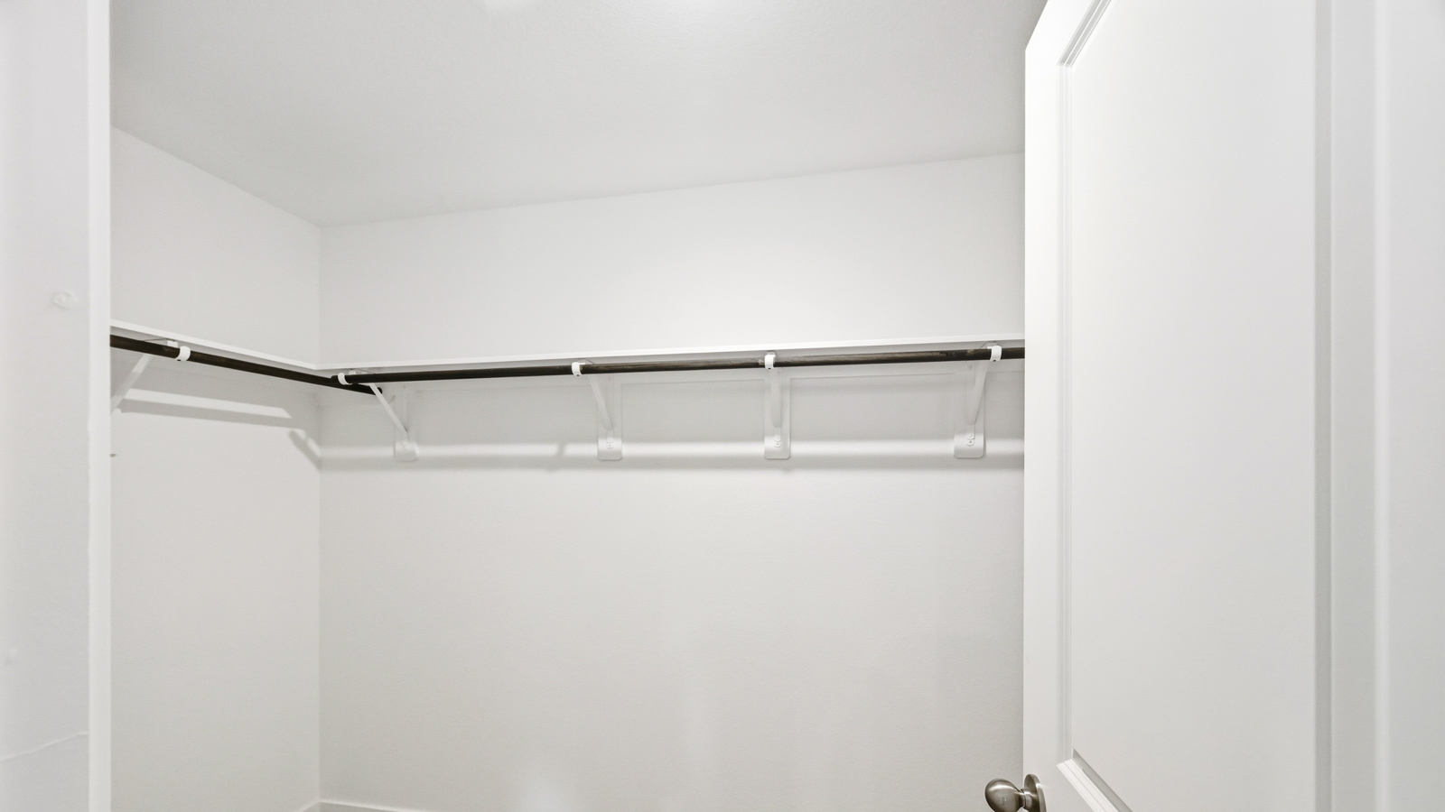 Primary walk-in closet with carpet flooring