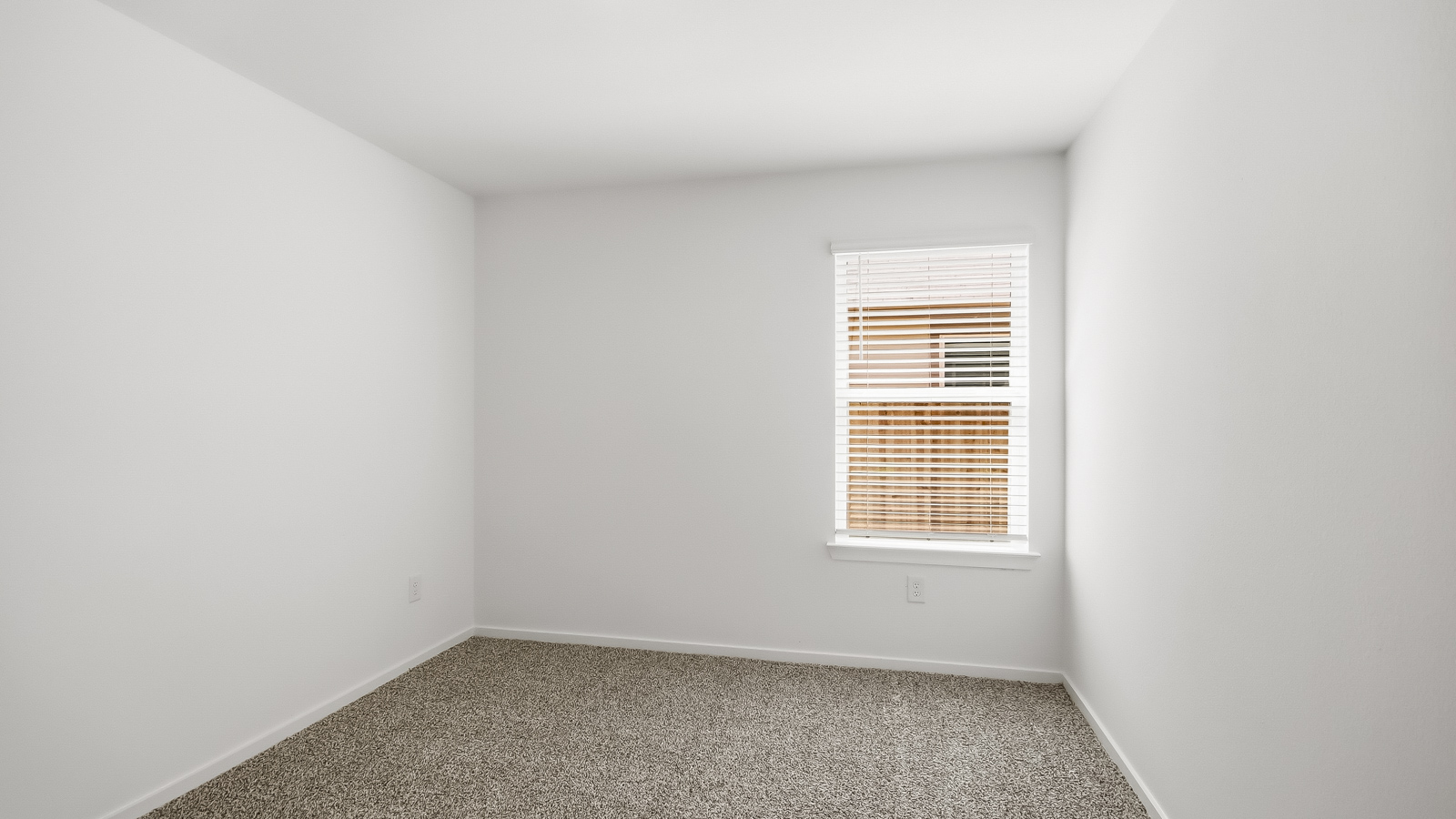 Secondary bedroom with bright window