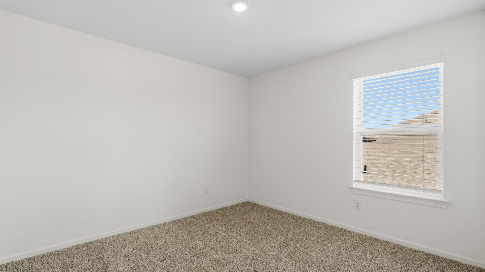 Secondary bedroom with carpet flooring