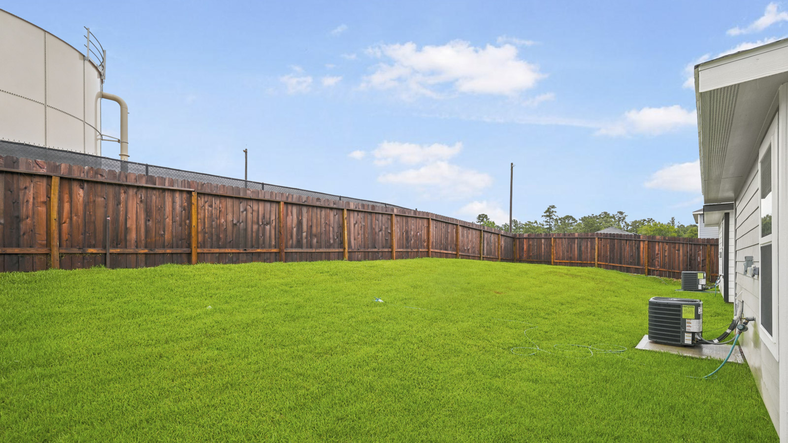 Backyard