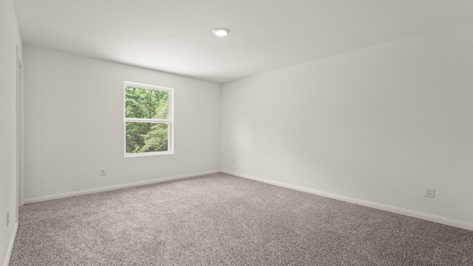 Primary bedroom with bright windows