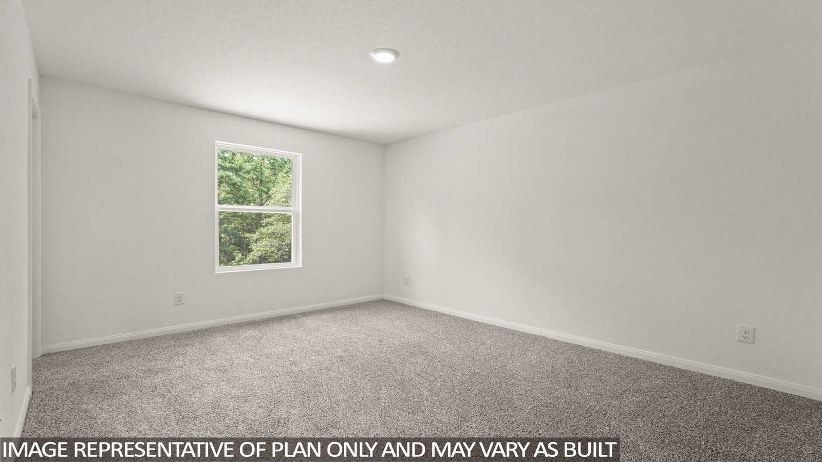 Primary bedroom with carpet flooring