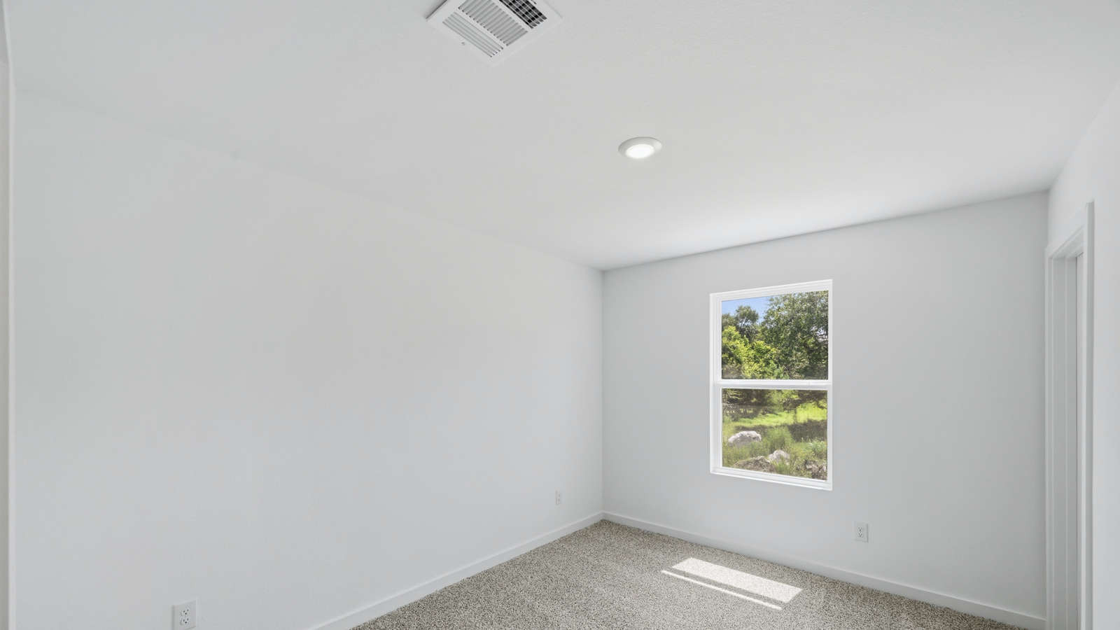 primary bedroom with bright window
