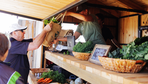 harvest green market