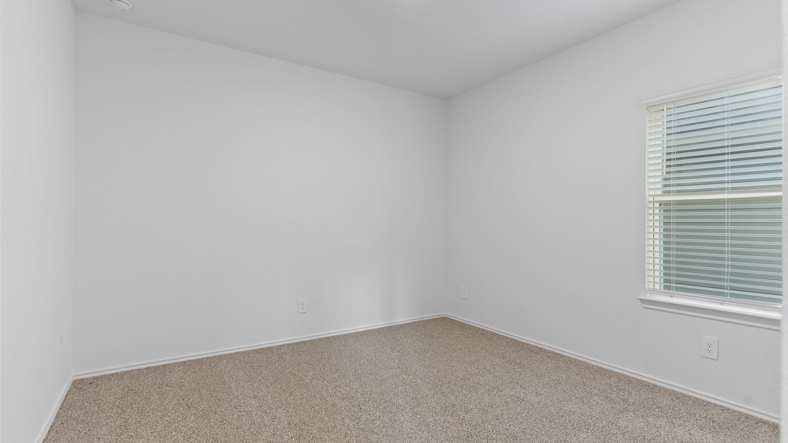 *Images and 3D tour are for illustration only and options may vary from home as built.