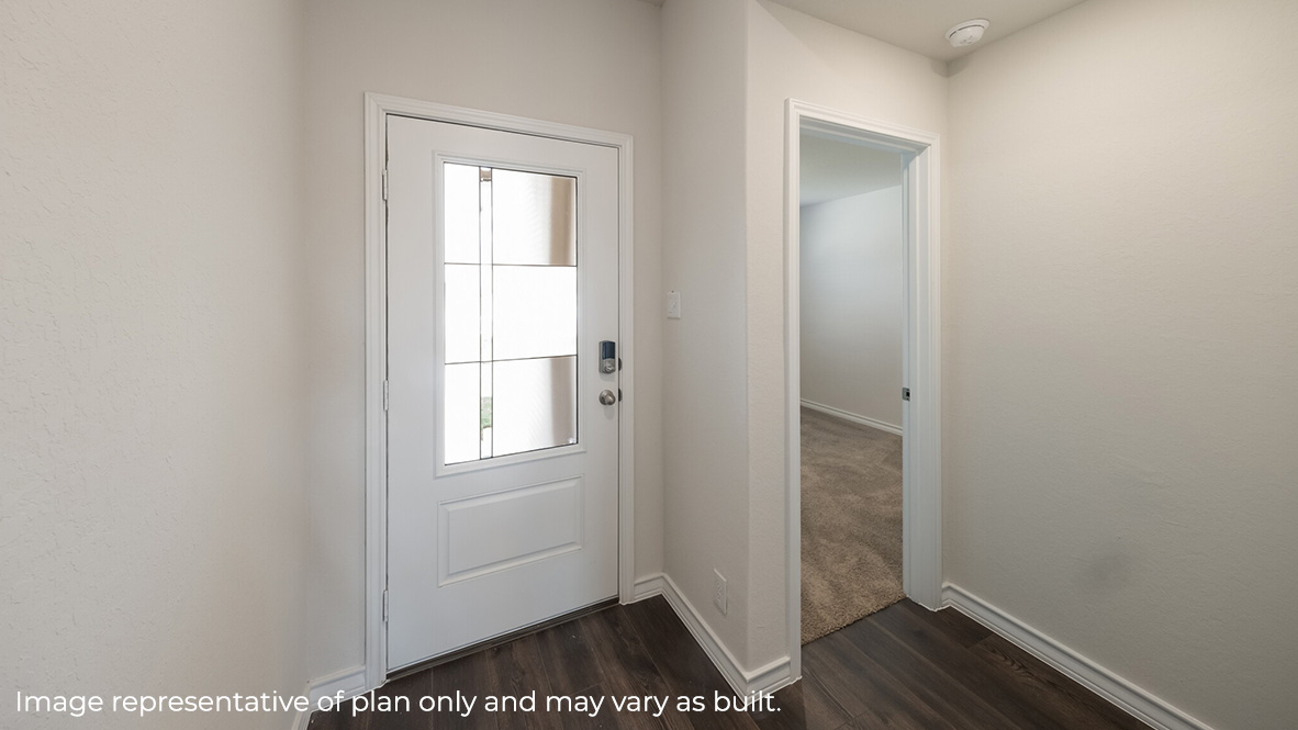 forest entryway