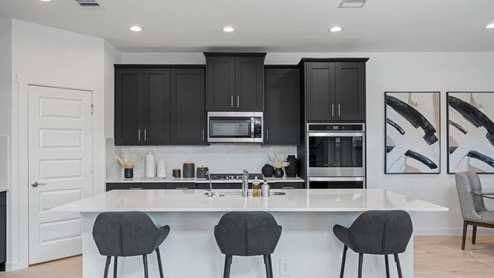 chloe kitchen with black cabinets