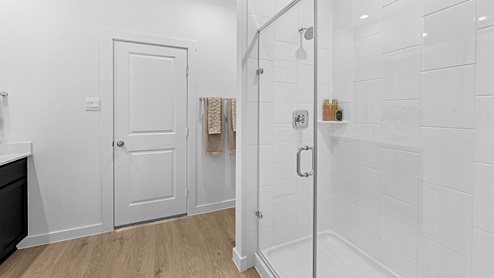 primary bathroom with glass door stand up shower
