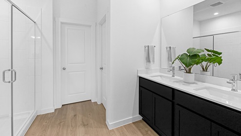 primary bathroom with stand up shower