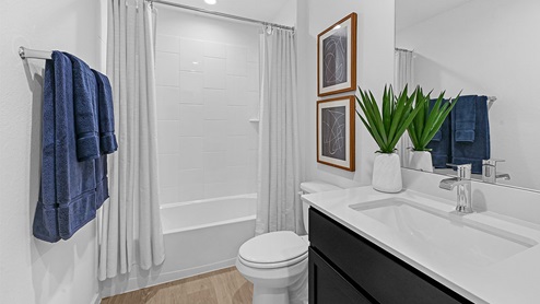 guest bathroom with tub