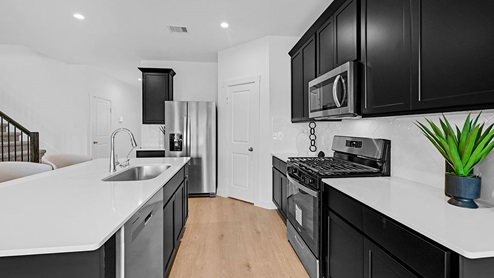 kitchen with black cabinets