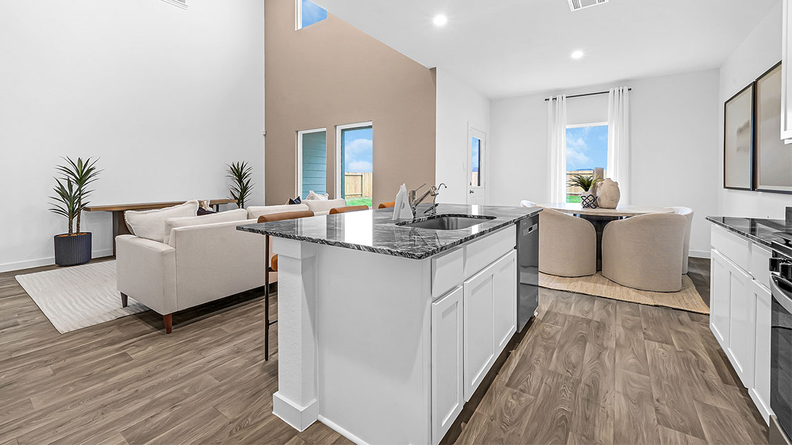 Open concept kitchen, living, family, and dining room space