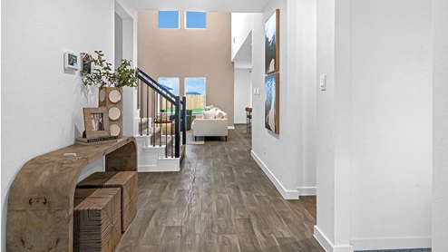 entrance with vinyl flooring leading to the living area