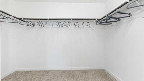 ash primary closet