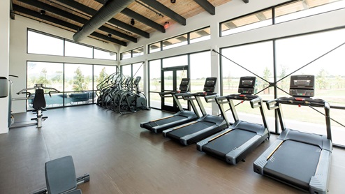 haven amenity village