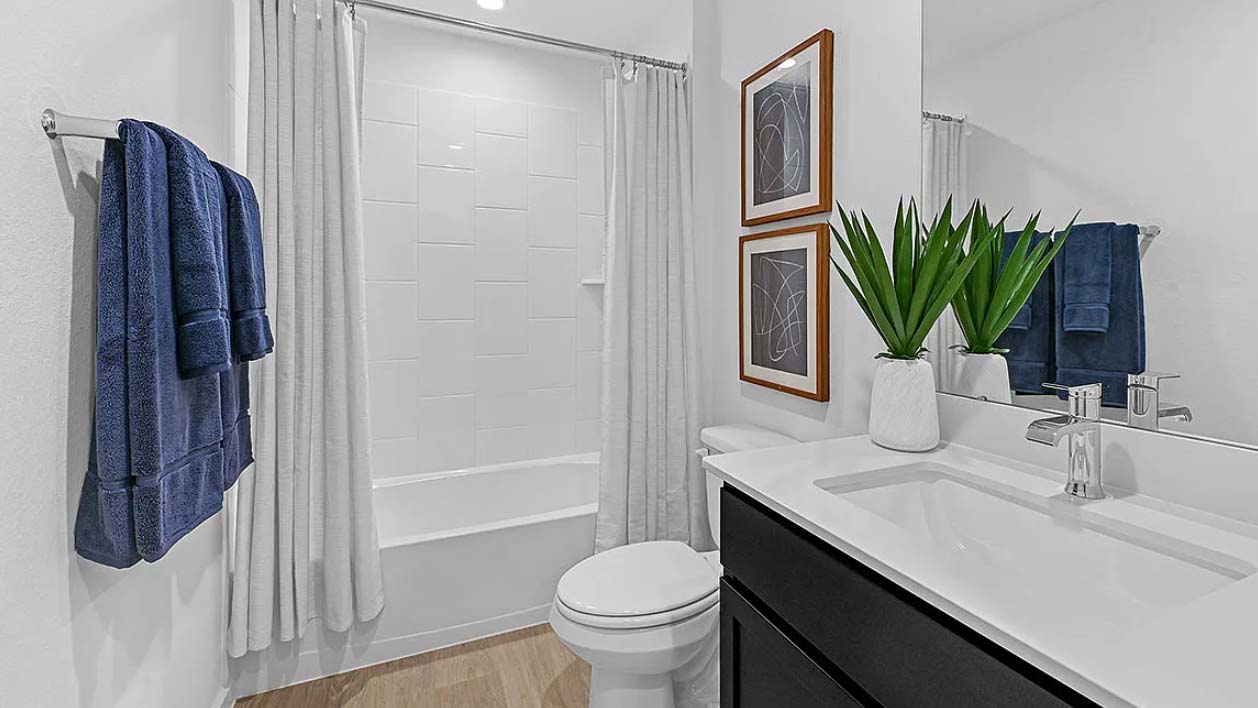 *Images and 3D tour are for illustration only and options may vary from home as built.