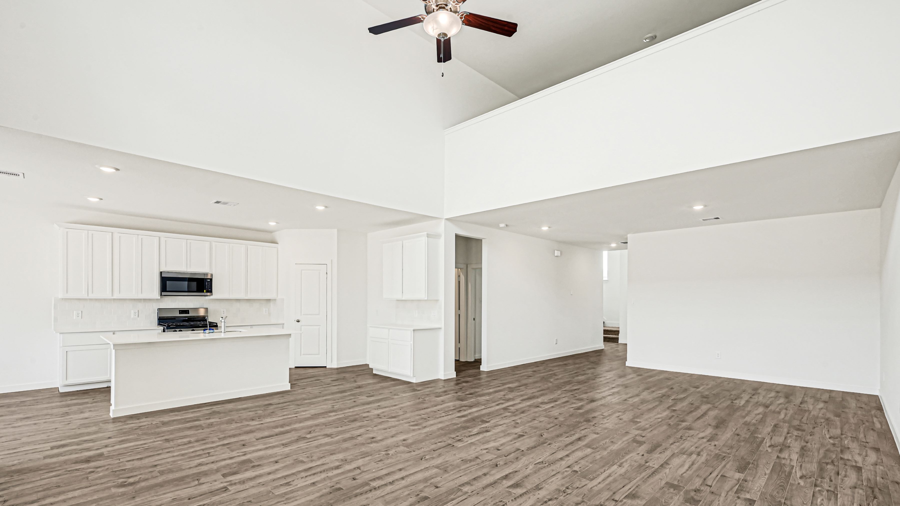Kitchen and Living