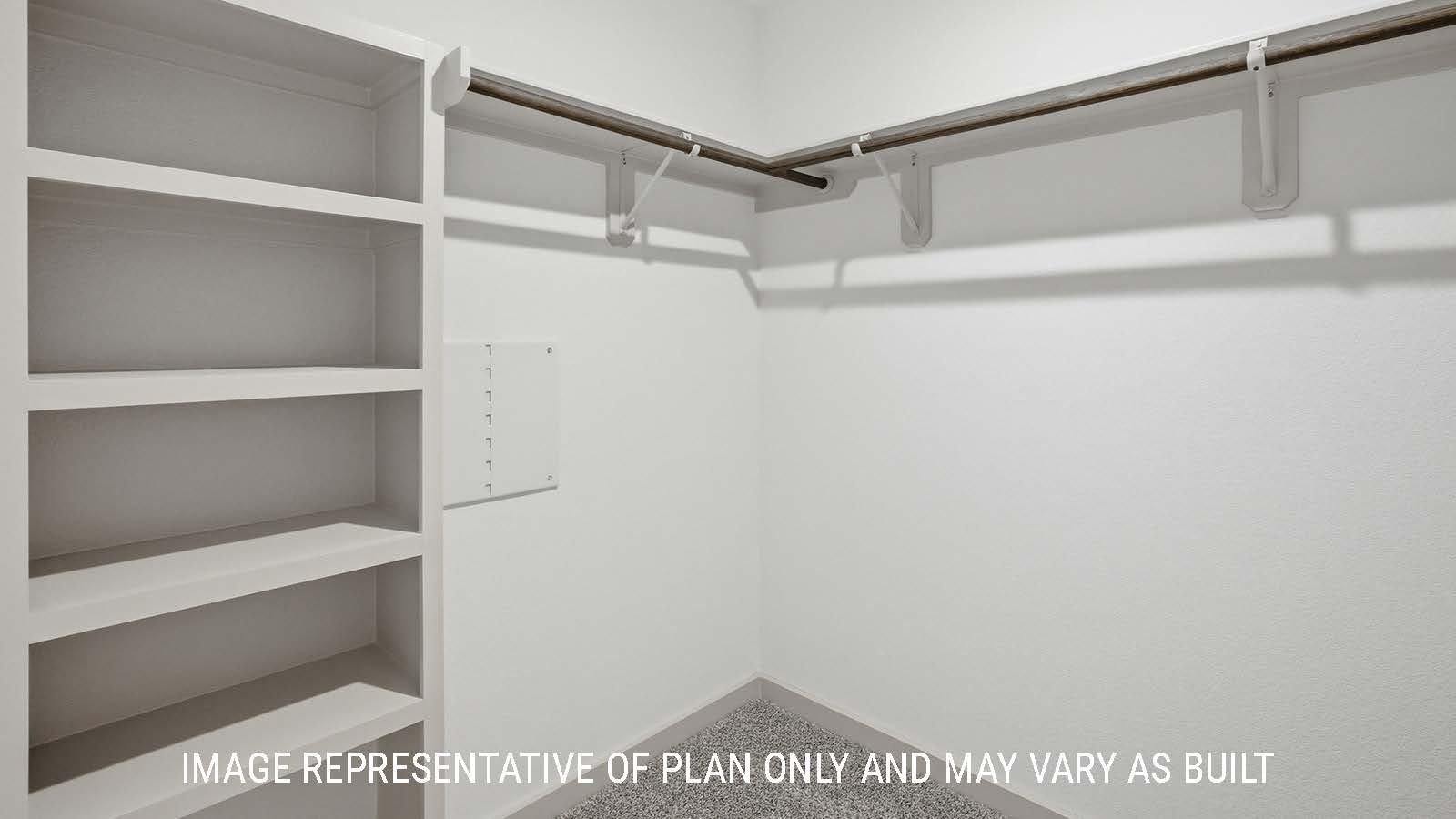 Bellvue primary bedroom walk-in closet with carpeted flooring and shelving for storage.