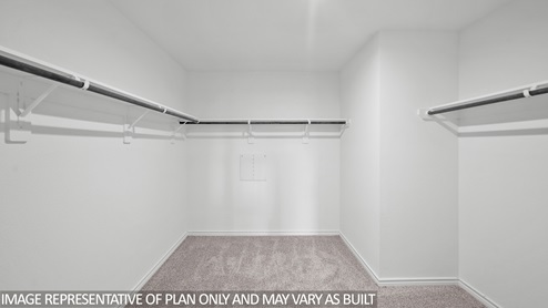 Harris primary walk-in closet with carpet flooring.