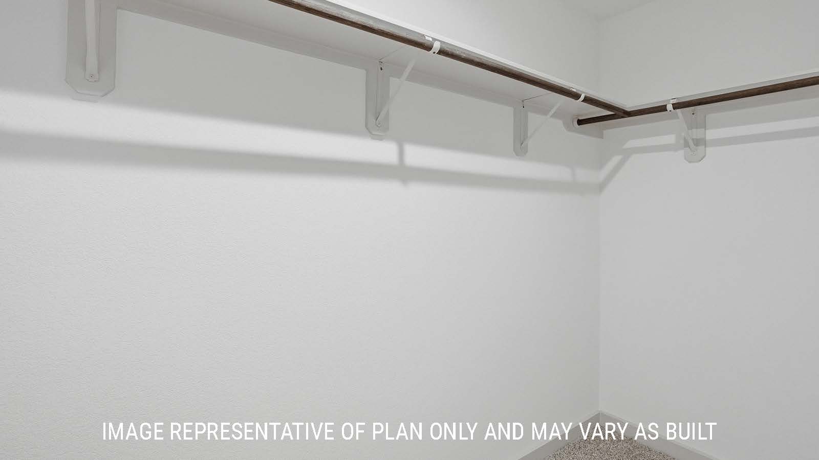 Bellvue primary bedroom walk-in closet with carpeted flooring and shelving for storage.