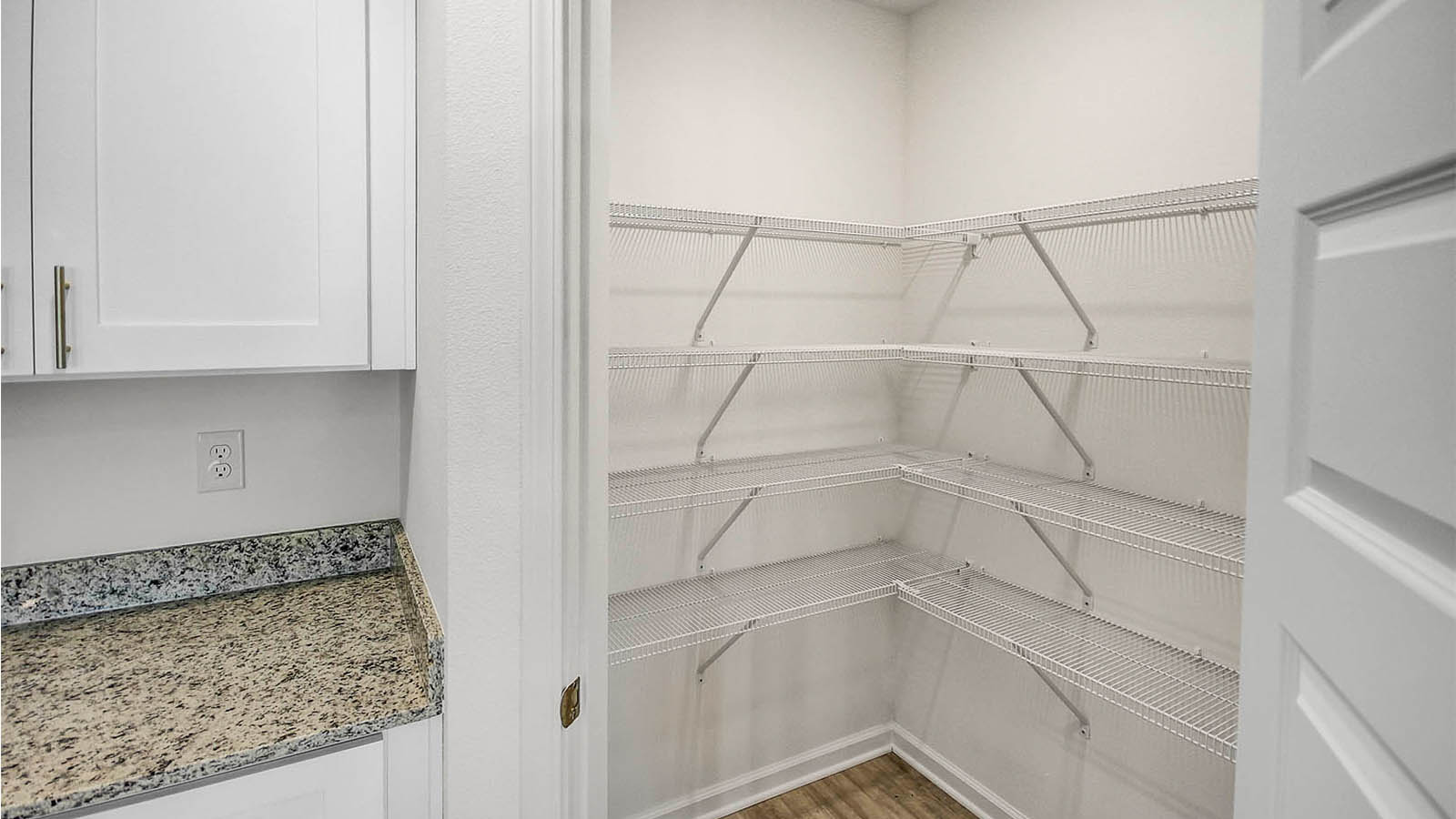 Large pantry with shelves for maximum storage capabilities