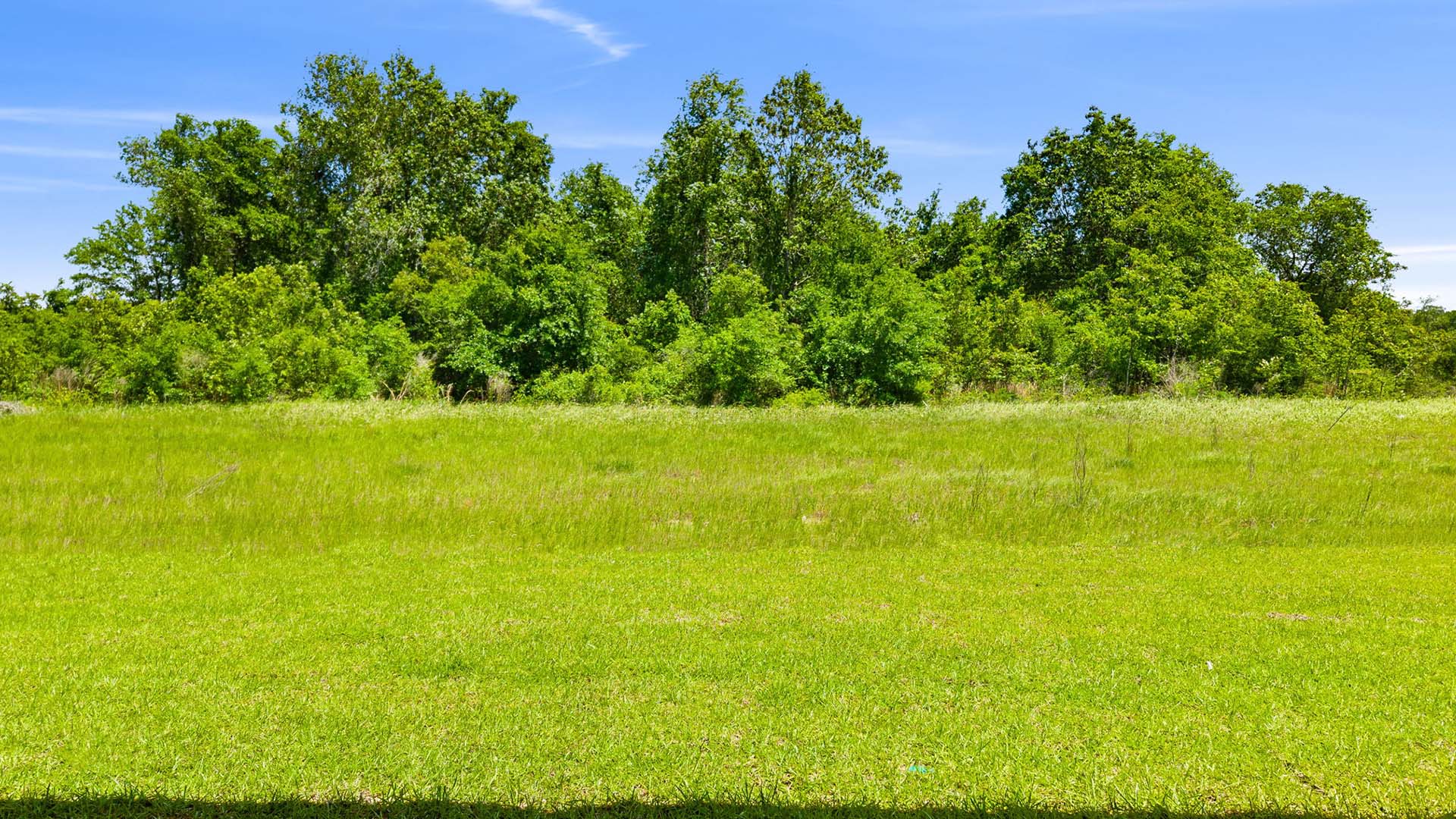 This home is situated on an exterior lot