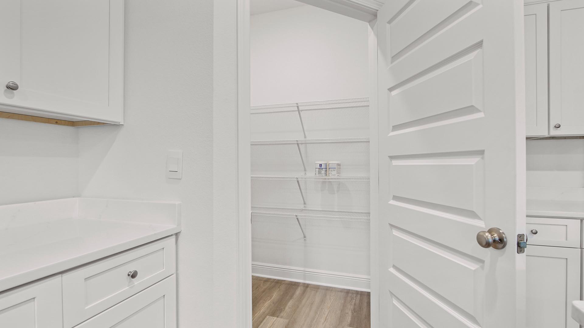 Corner pantry in the kitchen with shelving