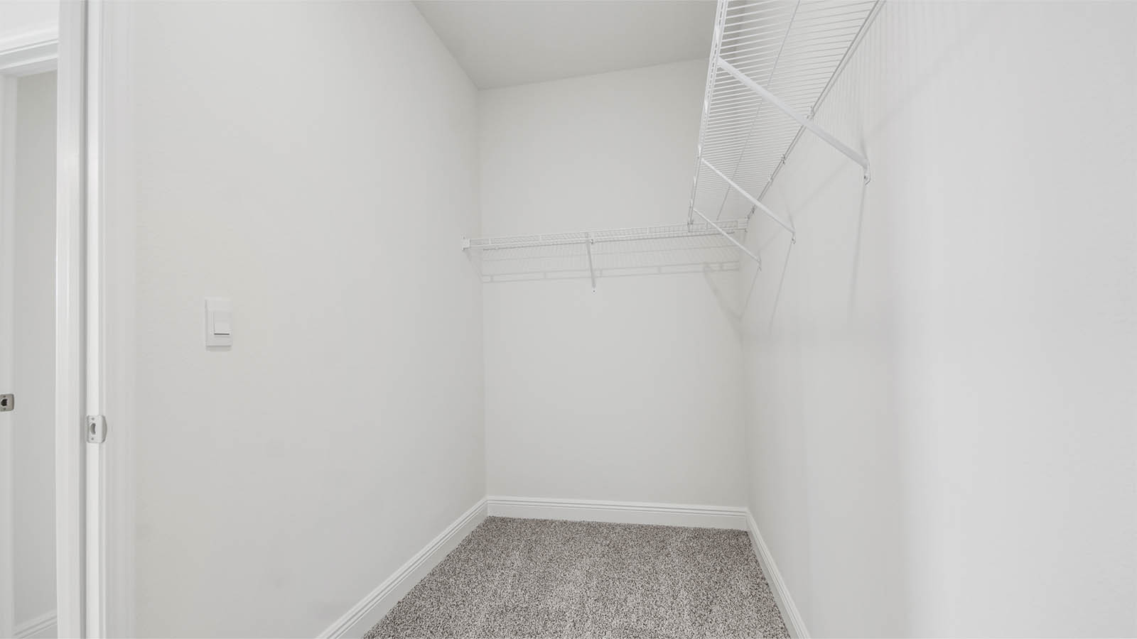Walk-in closet with ventilated shelving and carpet floors.