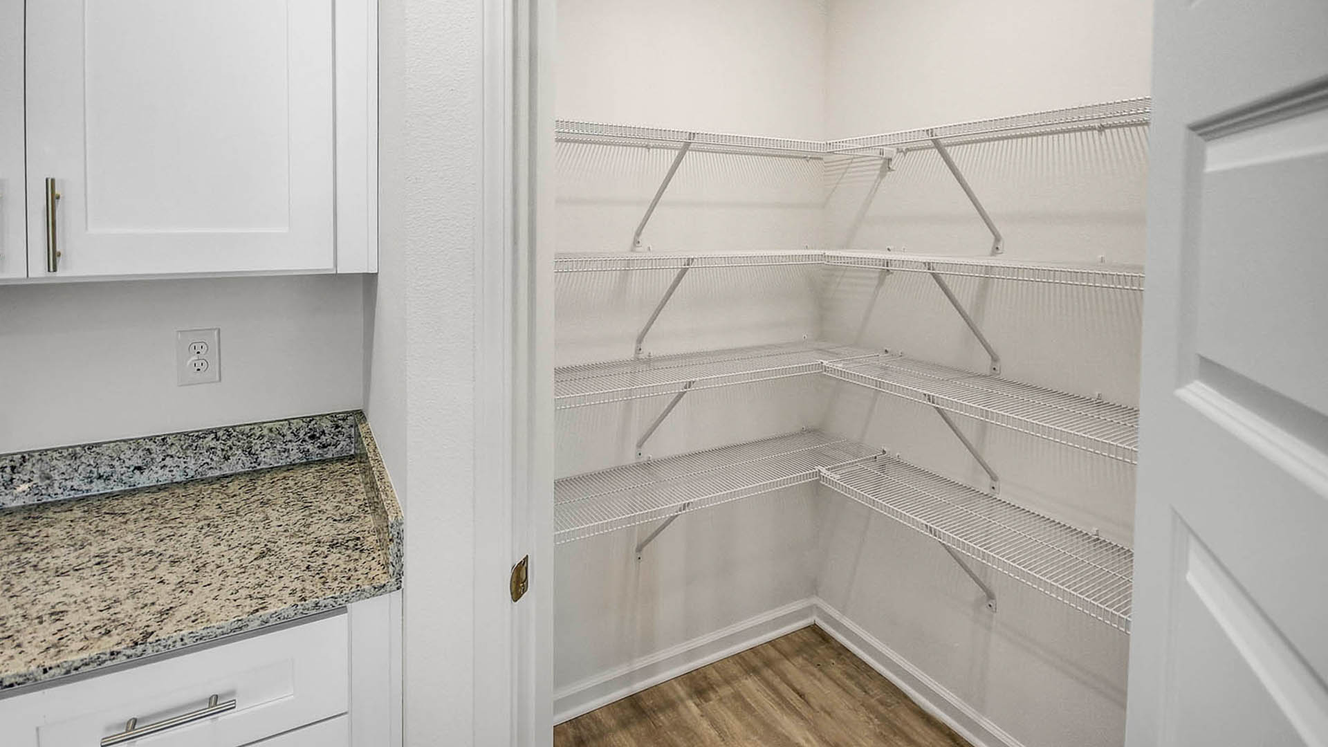 Large pantry with shelves for maximum storage capabilities