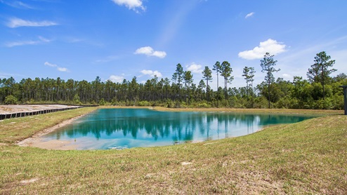 Small pond located in Phase III of Ashton Park