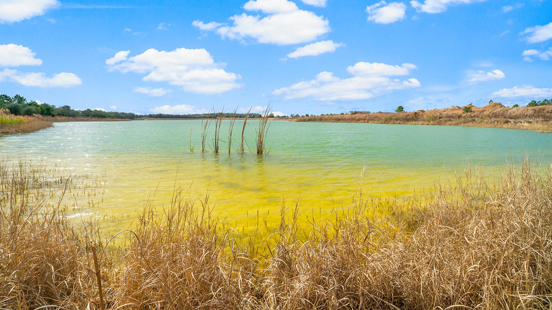 Available Home in Owls Head East Freeport, FL D.R. Horton