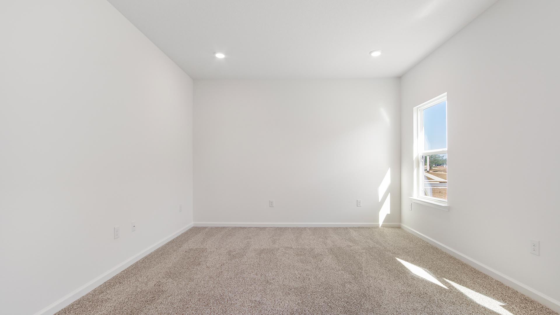 The primary bedroom has plush carpet