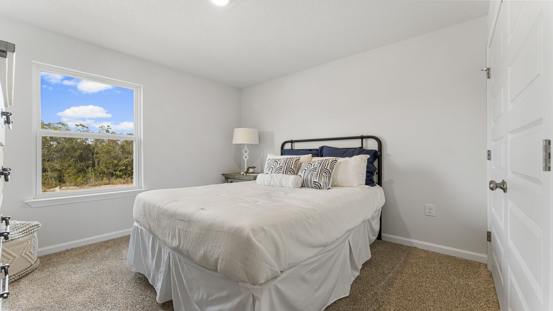 Additional bedroom with carpet