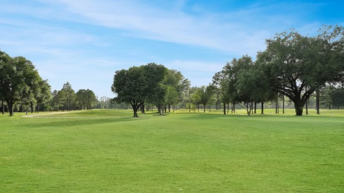 The Sunny Hills Golf and Country Club