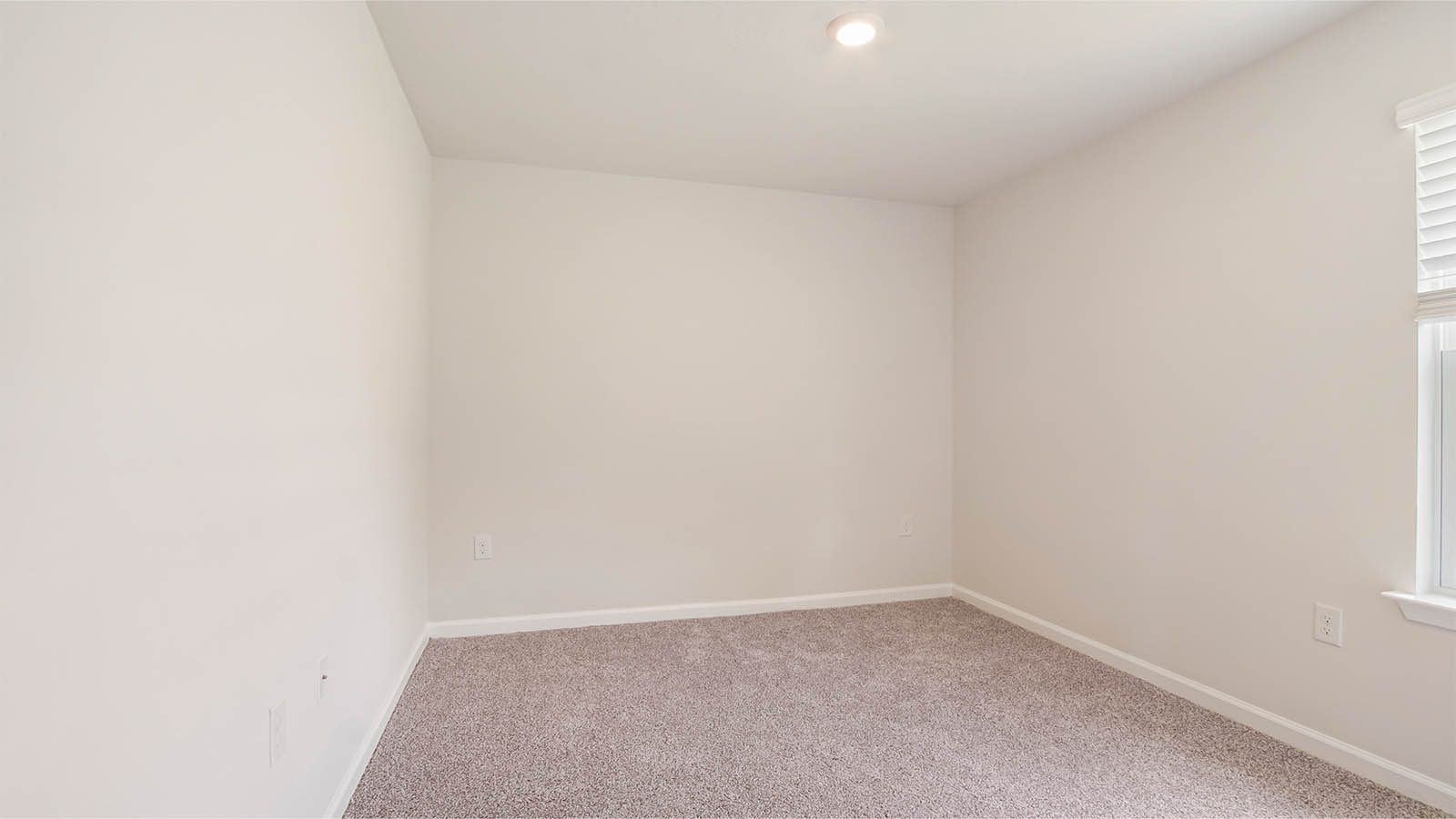 Additional bedroom with carpet