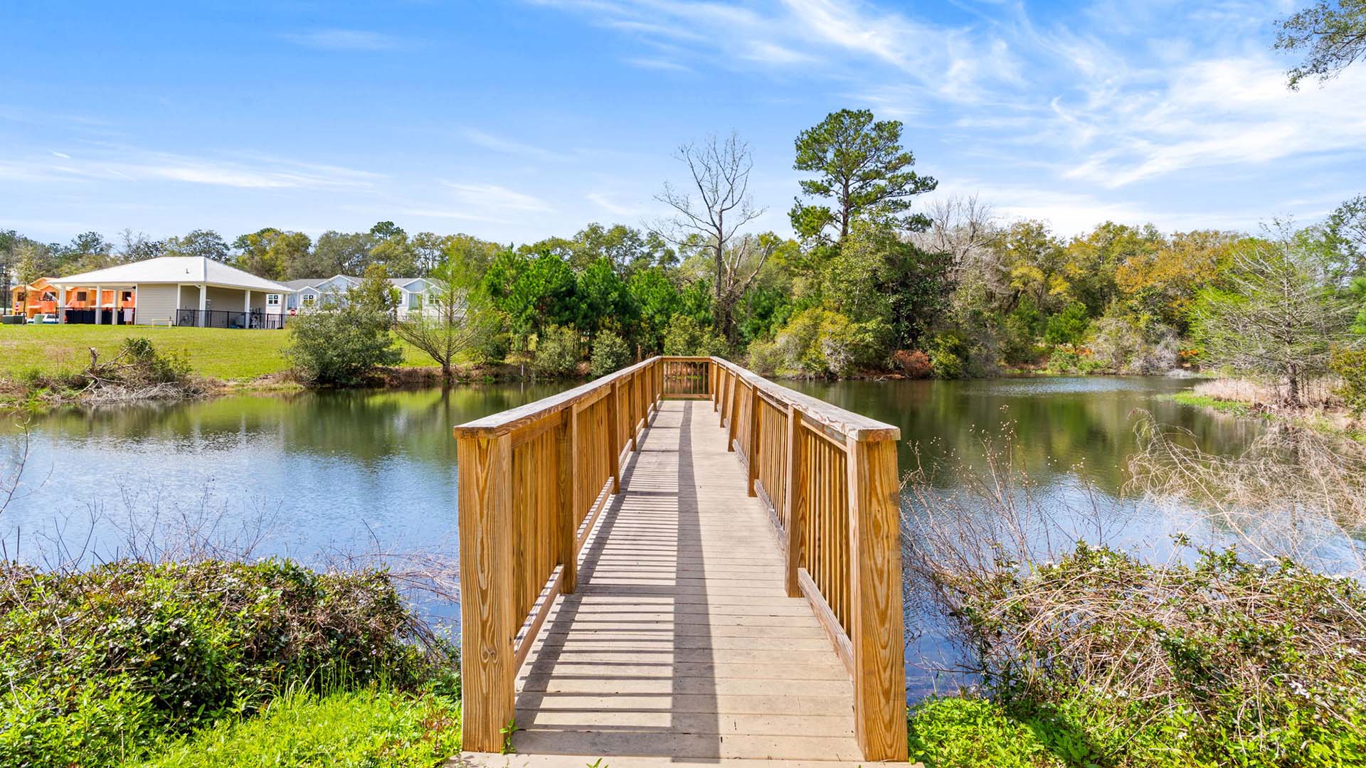 The boardwalk leading out over the small pond