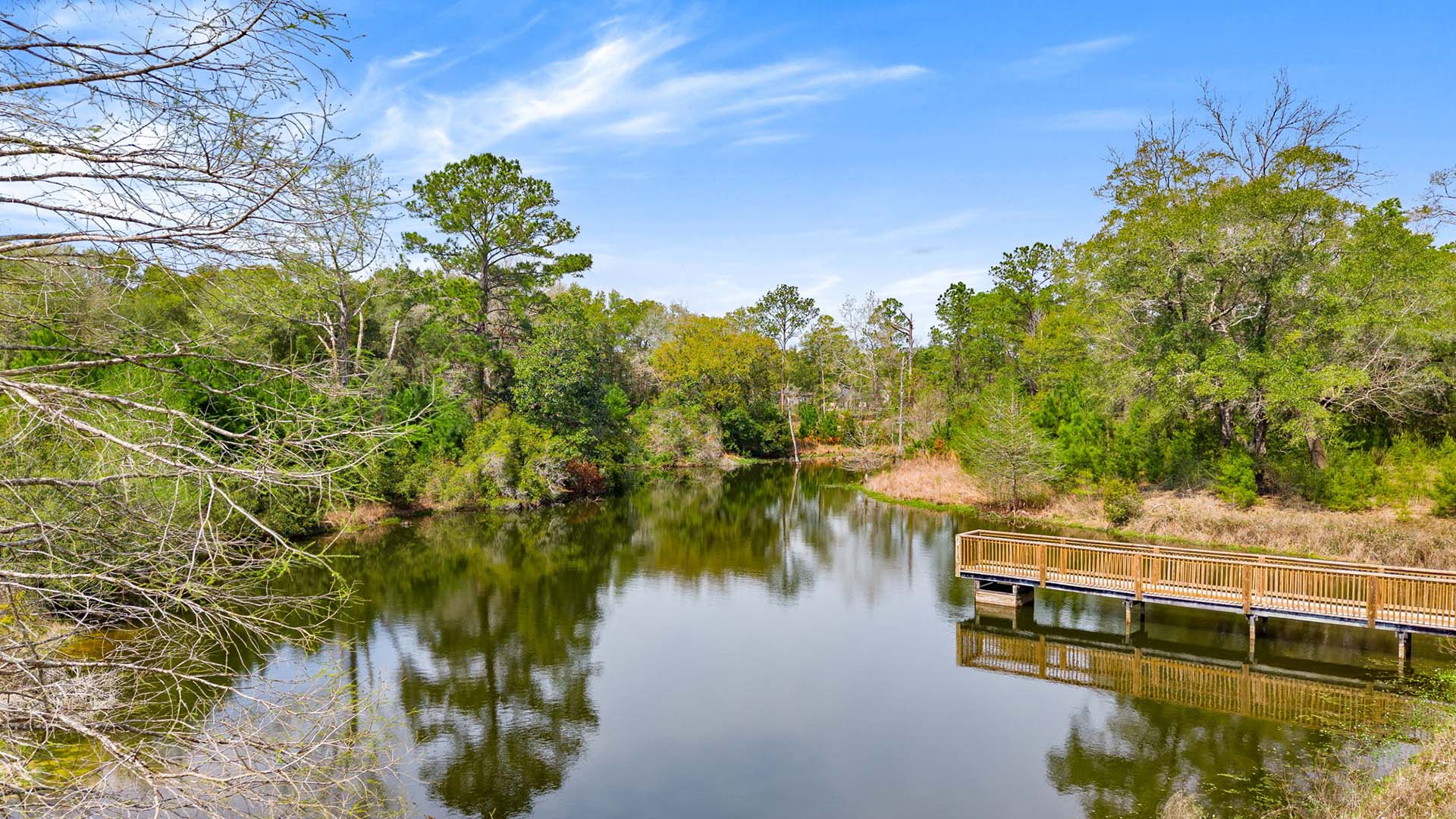 There is a short boardwalk over the pond