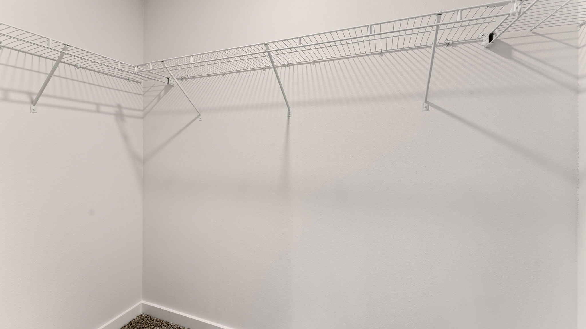 The primary bedroom has a spacious closet