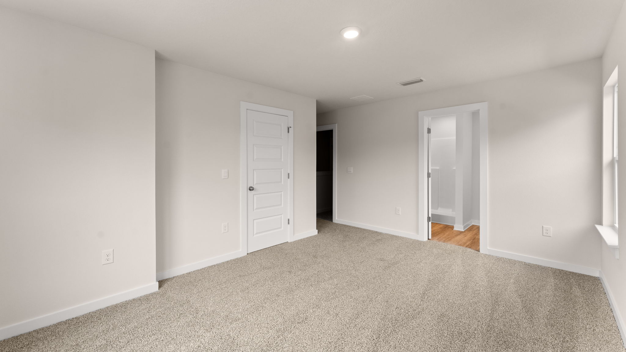The primary bedroom has carpet