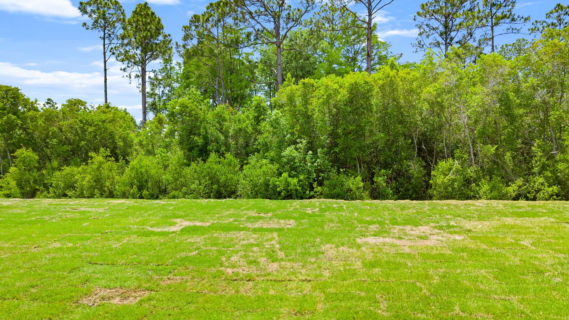 Exterior lot
