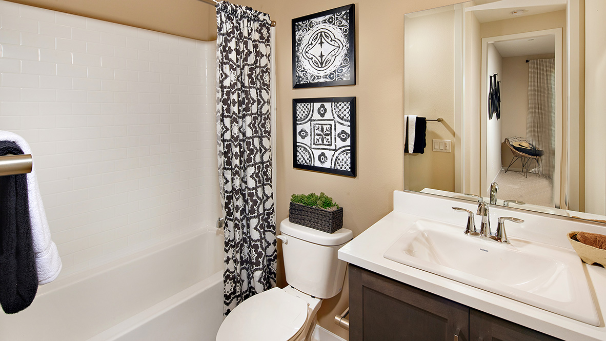 Secondary bathroom with vanity and tub shower combination