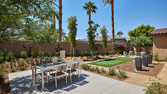 Backyard